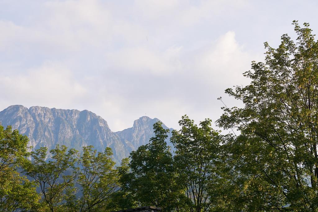 Harnasiowa Izba SPA - Apartamenty Pod Giewontem Zakopane Zewnętrze zdjęcie